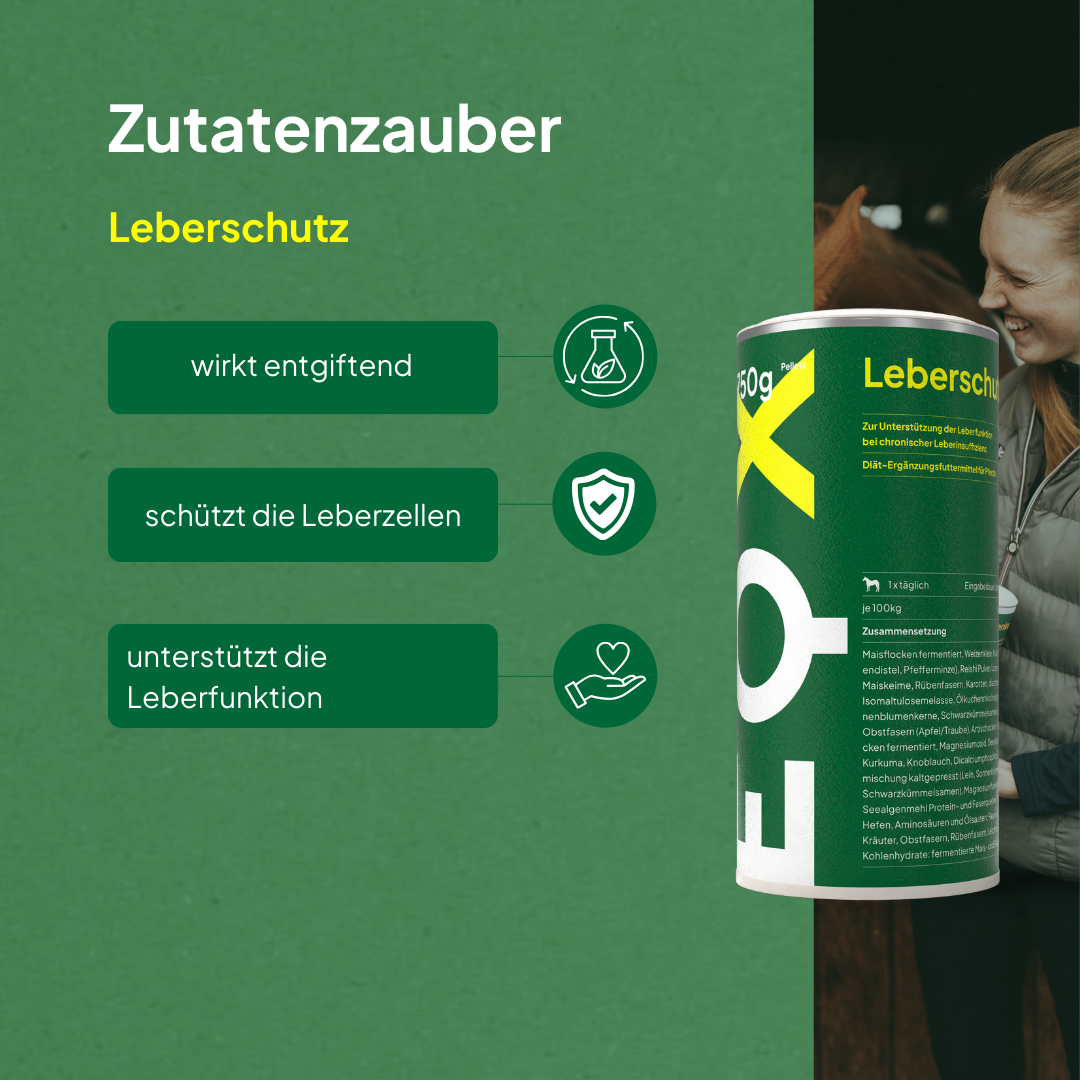 EQX Leberschutz