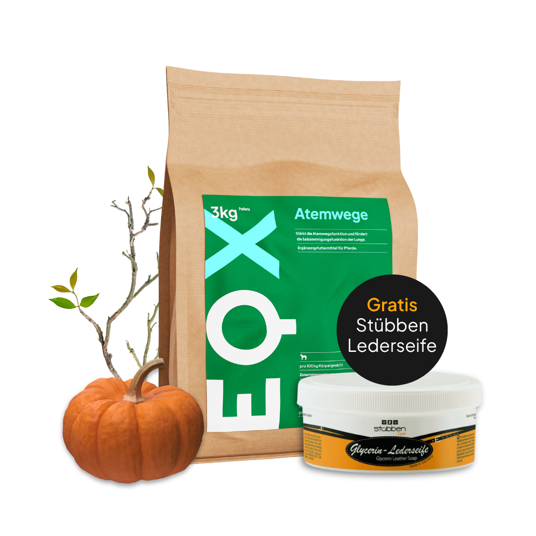 EQX Atemwege 3kg + Stübben Lederseife