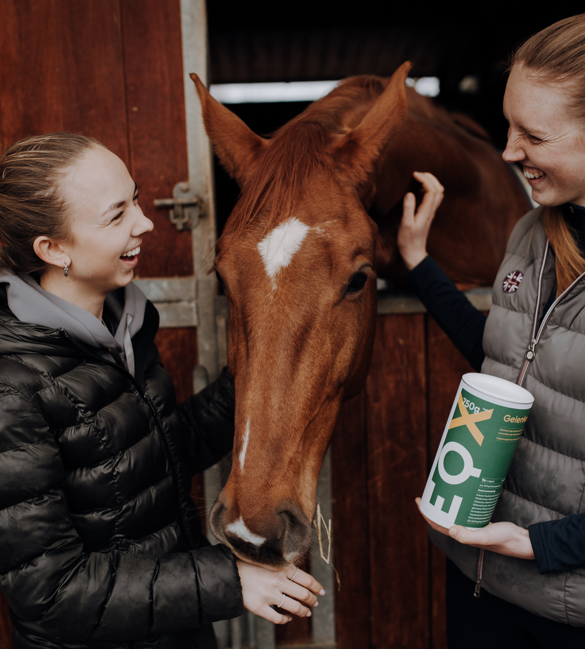EQX Gelenke 3kg + Stübben Lederseife