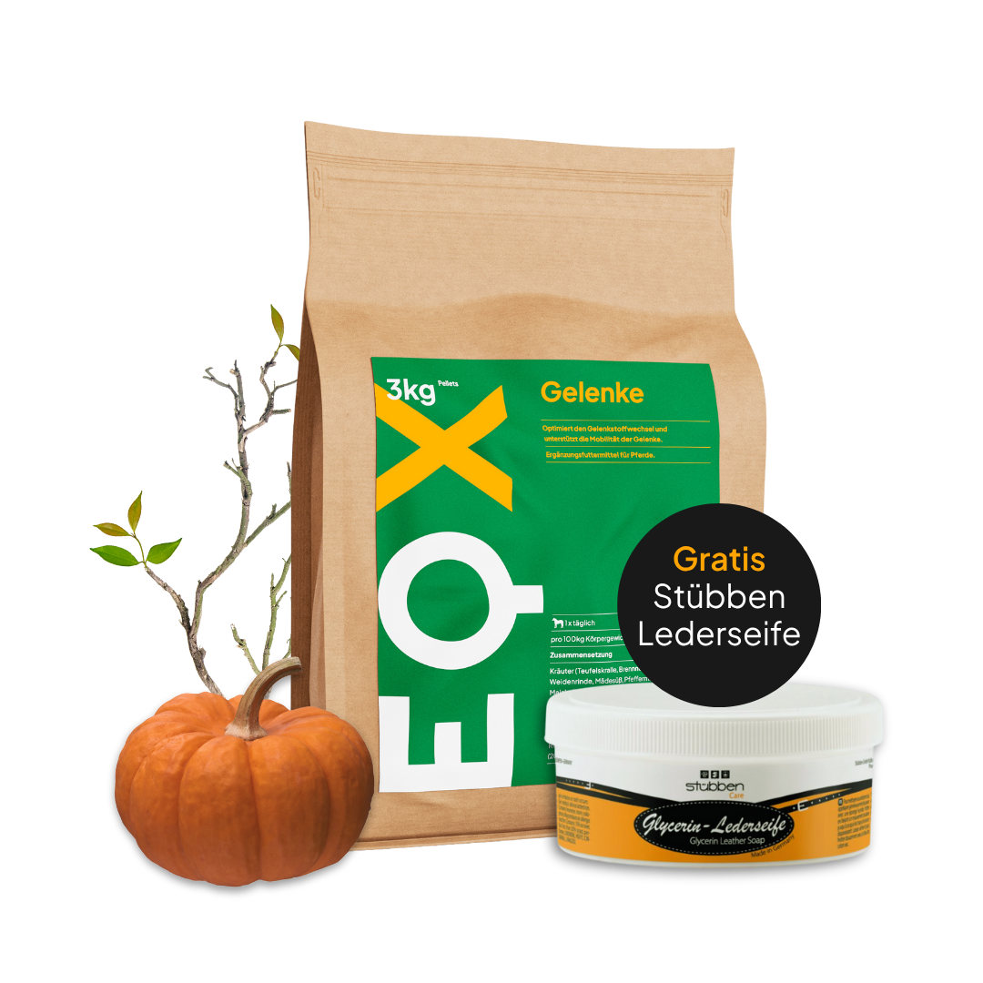 EQX Gelenke 3kg + Stübben Lederseife