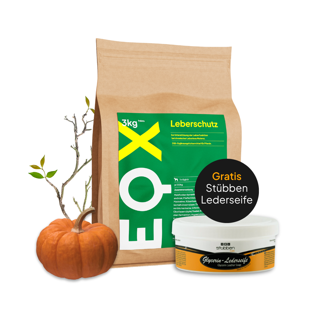 EQX Leberschutz 3kg + Stübben Lederseife