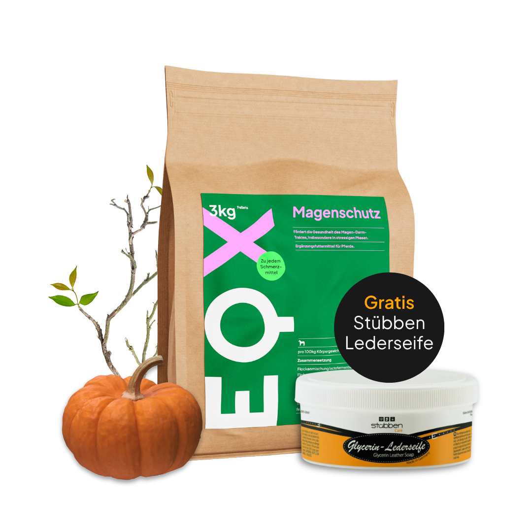 EQX Magenschutz 3kg + Stübben Lederseife